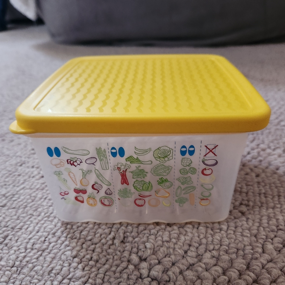 Need Tupperware Fridge Smart size Small